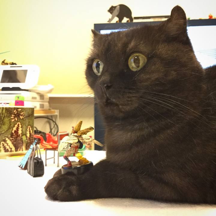 Eed2c94a b215 439a b256 d7e8c23e0d91