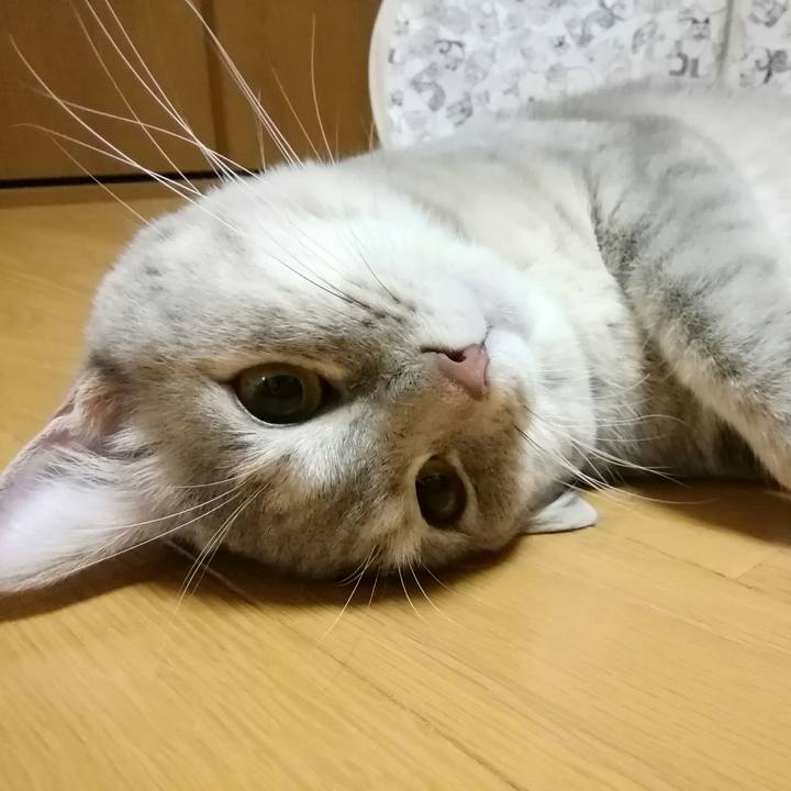 Eed2f554 7ee9 4a5a a885 b5da351ca8d2