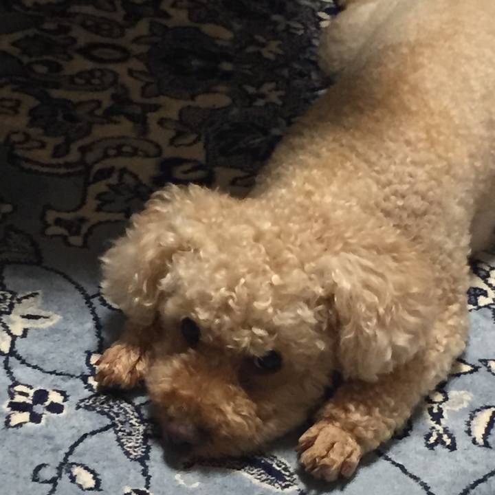 Eed305df 987e 44ee bb92 d5cd5c810810