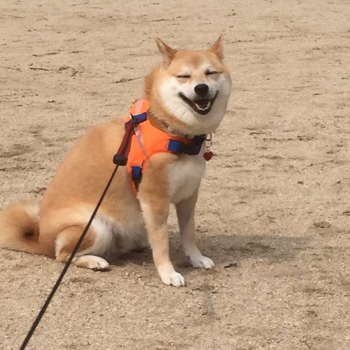 Eed350e0 1f3f 4d43 ac07 eb179bda2046