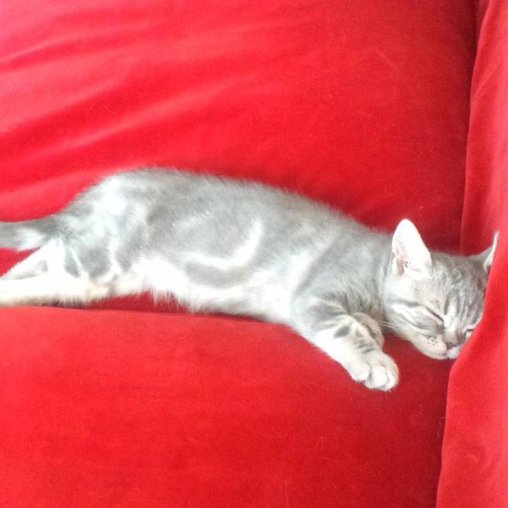 Eed3545f ca18 453f 8764 3ef35635e9a6