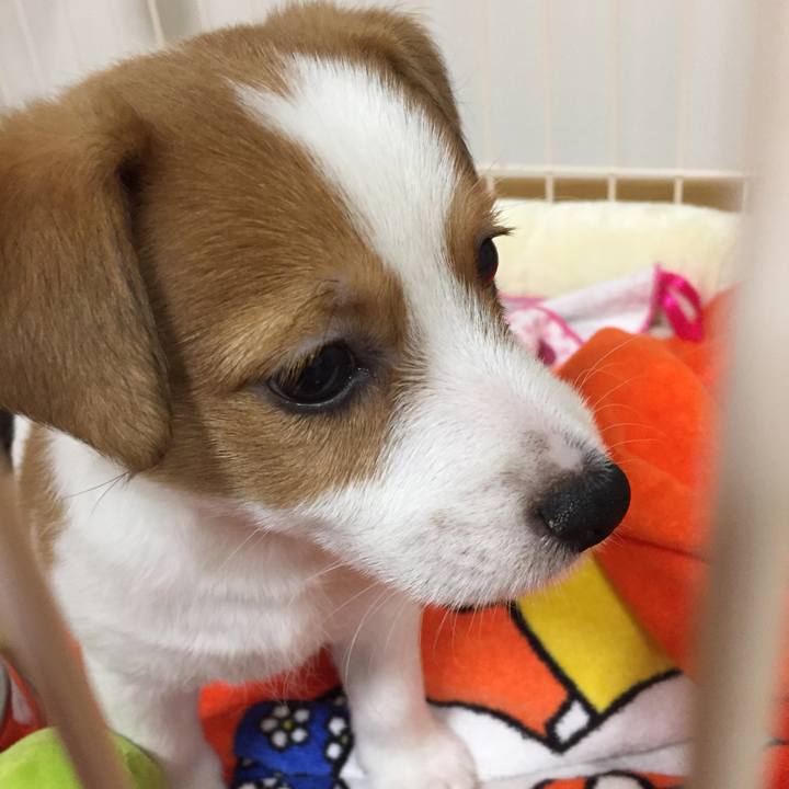 Eed38a71 4cd1 498e 9c81 f42399eb7a9a