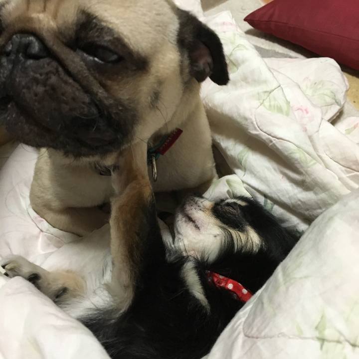 Eed3ad9d f1be 400a bcb5 e90bb59f5f72