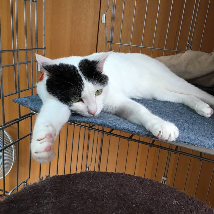 Eed3c73c b63c 4195 a46e 345c4f77225b