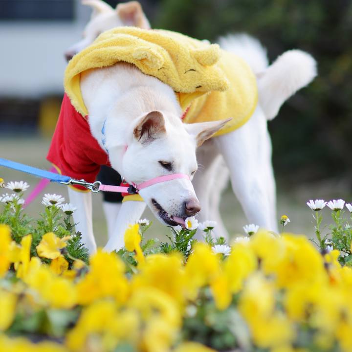 Eed3ccf8 33aa 4b53 a05f eb2f84a4aa99