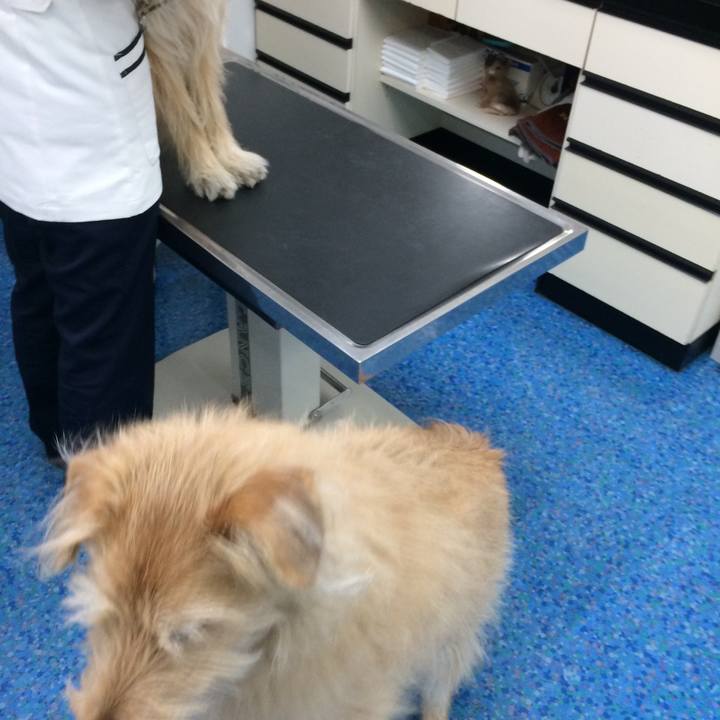 Eed3cdc3 2cd1 4ee4 a035 59f68a0e42f0