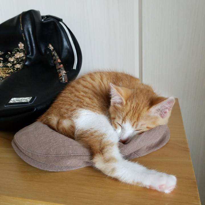 Eed50c9a a42b 4a22 9375 f759dcea9c79