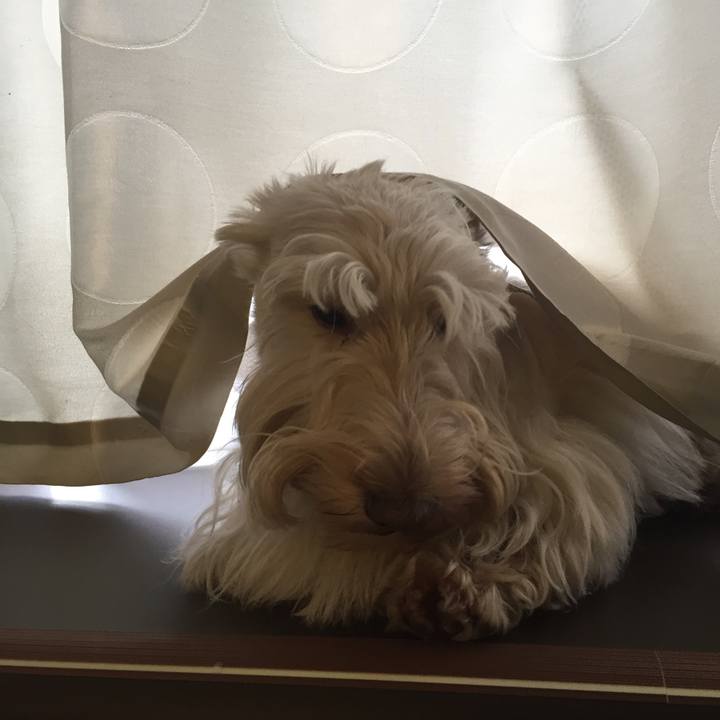 Eed55275 d721 4750 abef f6fc6946893c