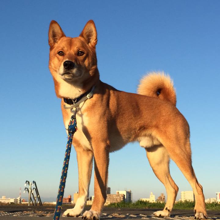 Eed564f9 b869 420f b788 97a5a9da2bc8