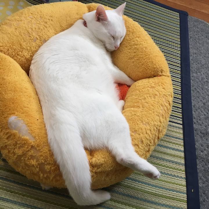 Eed5f7eb 29d2 4fef 89f6 dd4f9d46904c