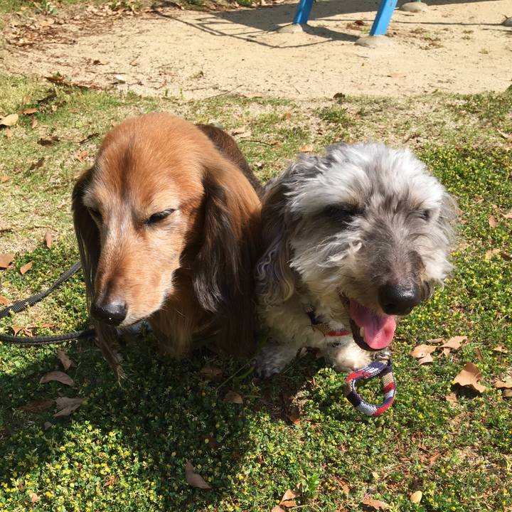 Eed606e4 d4fe 4e76 9670 cdcfe85fd6d9