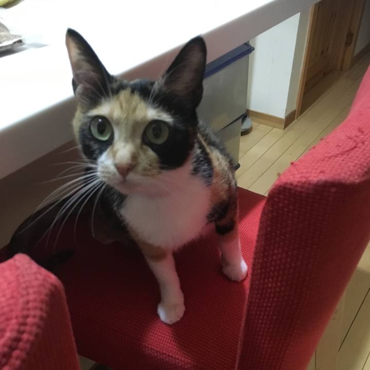 Eed68aaf 7b1c 4884 9ccb 99d880309e56