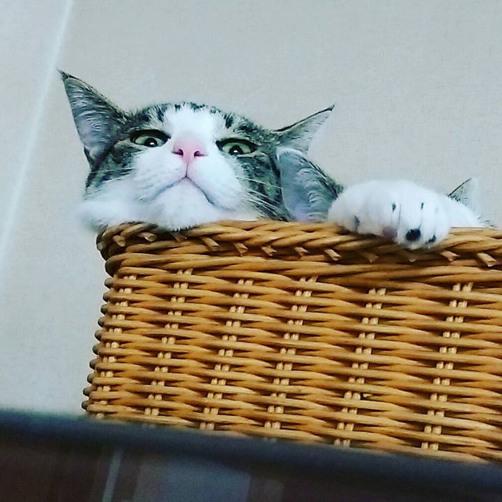 Eed6e8e5 9ffc 4301 8a25 06c4233c85b3