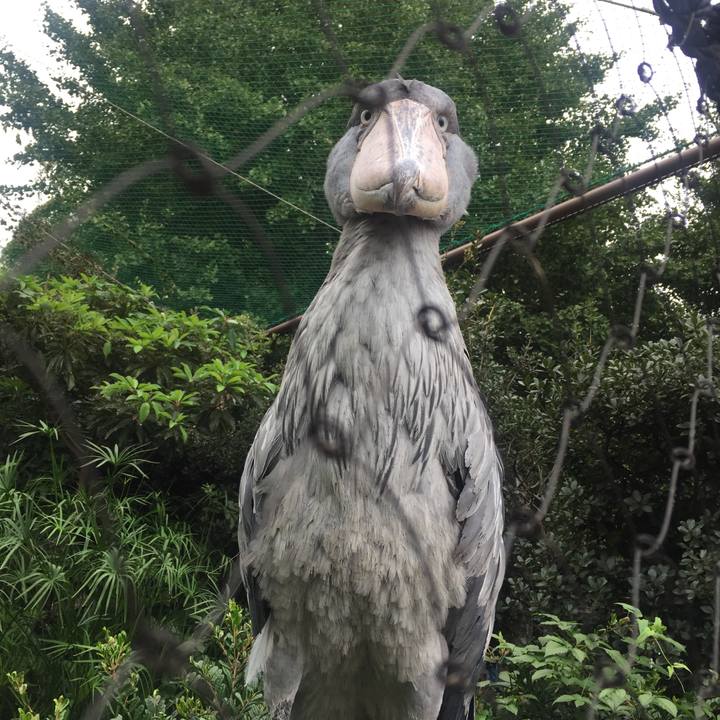 Eed76879 e8e4 450d b816 4f0e724960d8