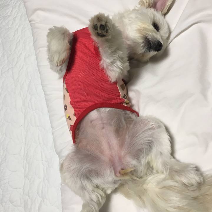 Eed84f0a 7ac3 42d2 9dfe 52da7e2fd9df