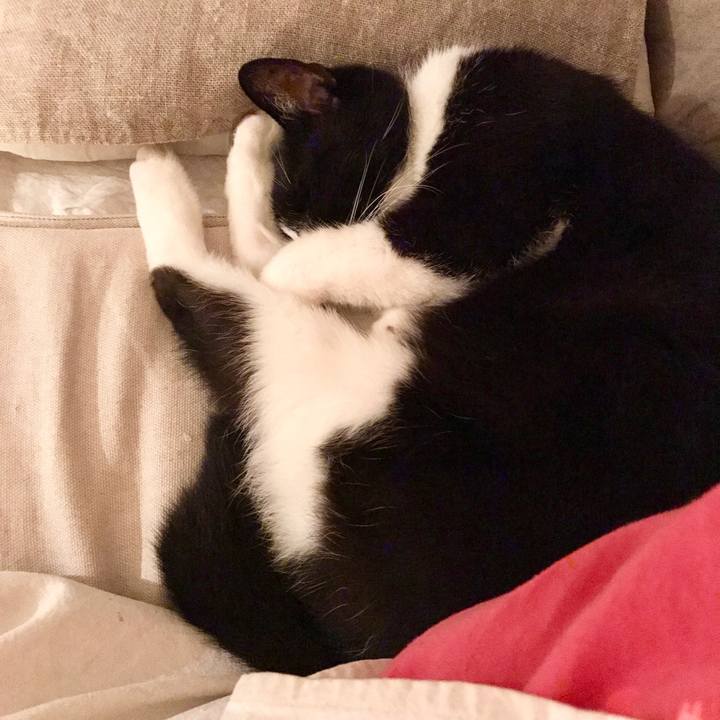 Eed8b011 2c67 4d9d 939d 0c48728f1eeb