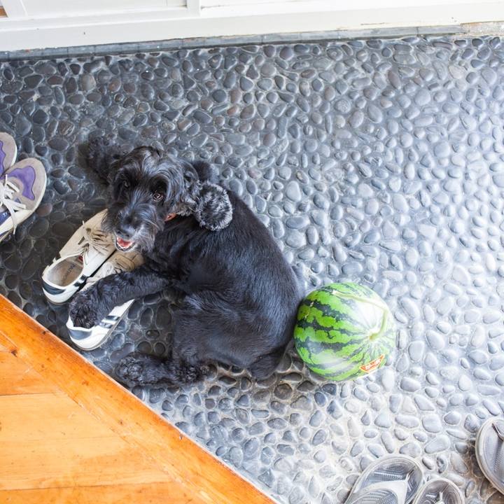 Eed90bae a408 4fc8 babe 39693932b4df