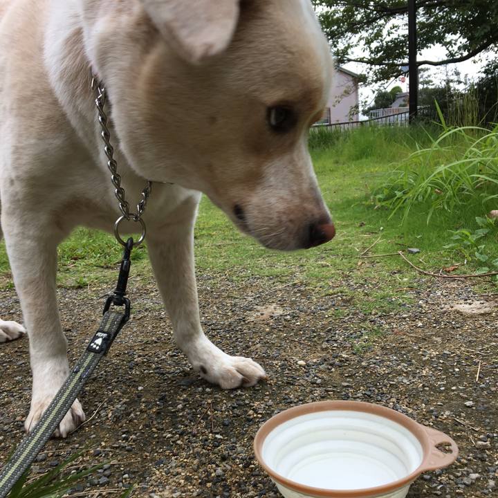 Eed91ffc d64f 48aa a75d 4f92054fe08a