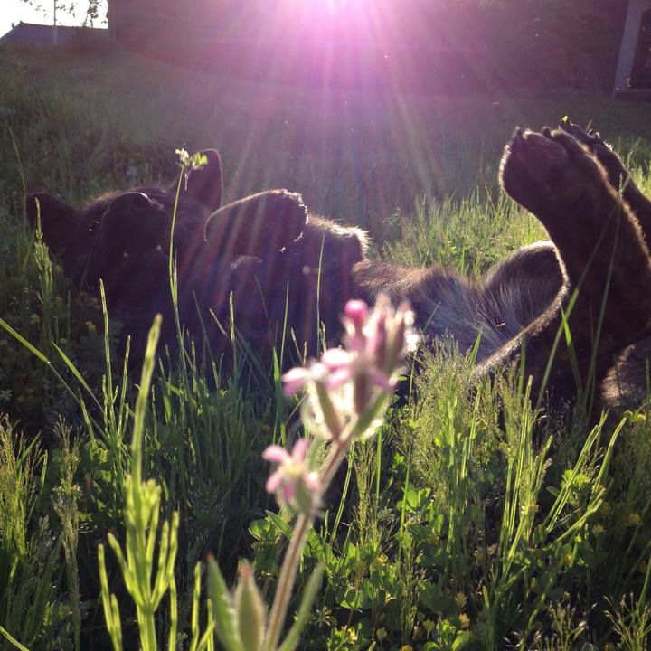 Eed9855b f867 44ad ad01 db9d195fca90