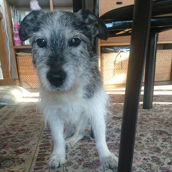 Eed9e9ea b1d7 436b 8f2f 2dfec425f7d2