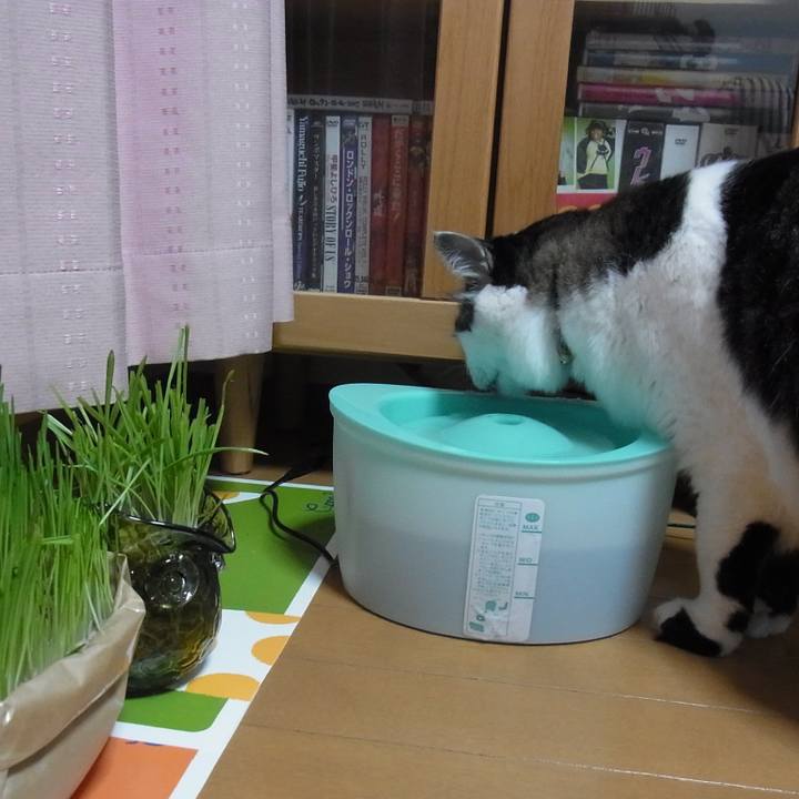 Eeda7c2a 6398 44ab bd23 db399d49f118