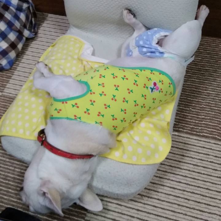 Eedac7e9 280e 485c ae35 5cf0dd23175c