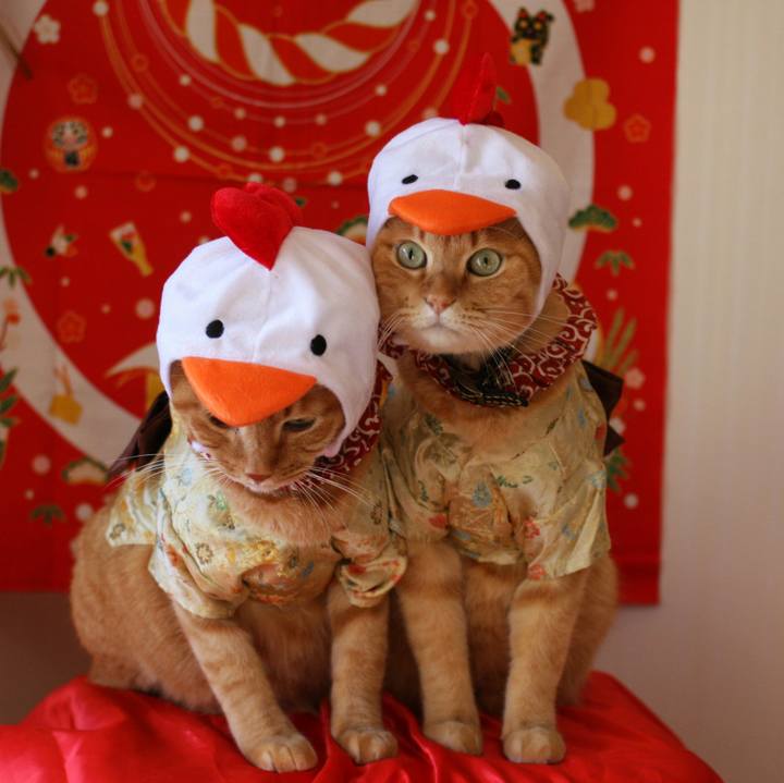 Eedaec58 d126 4acf 9c60 8b88ee5cb6d7