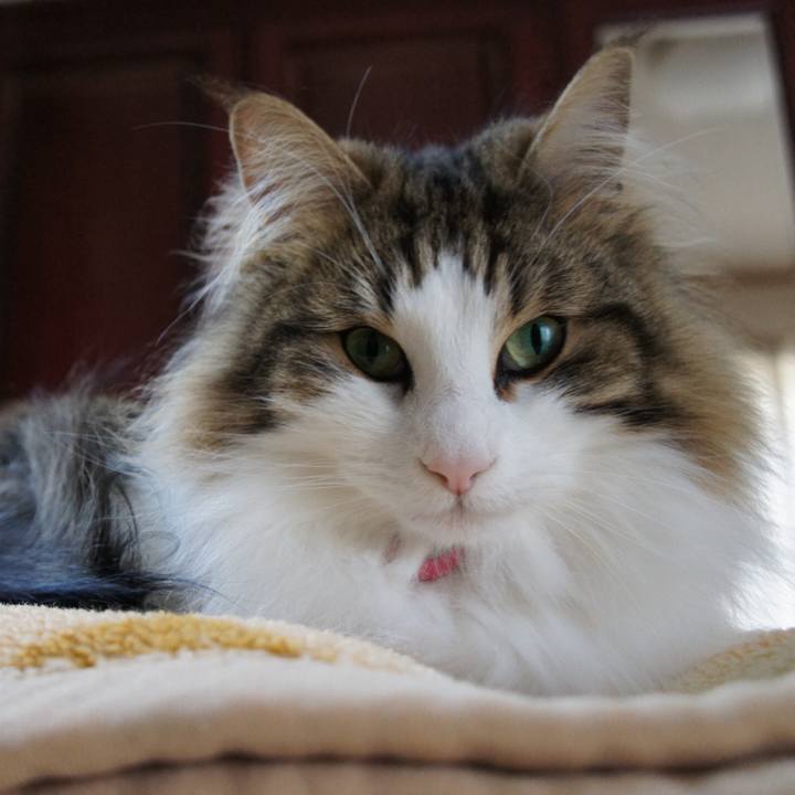 Eedaf28d 0214 4bfd aa5c 098c1e0f3fd1