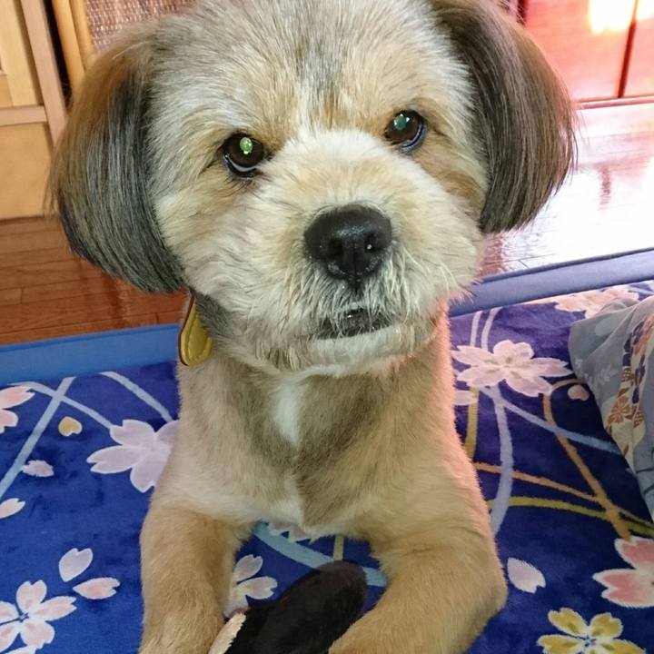 Eedb7004 c922 4d66 b35a 1b31182d57d6