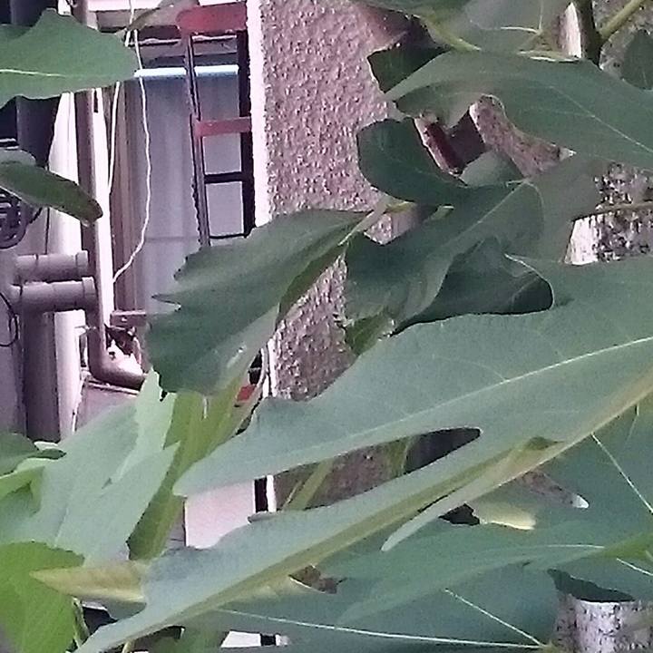 Eedb70fa ab9b 4b7c 878f 8f2a6730a923