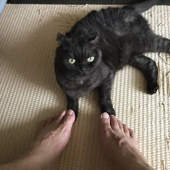 Eedcfebb de9e 4b62 b3c2 bceb9b409bc8