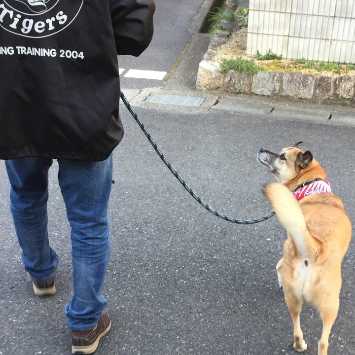 Eedd07fd f66a 4e03 a473 840069234fab