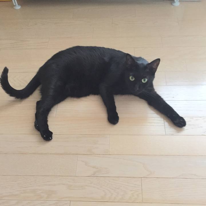 Eedd447e 4c31 42f4 933f 242b9f97c9ce