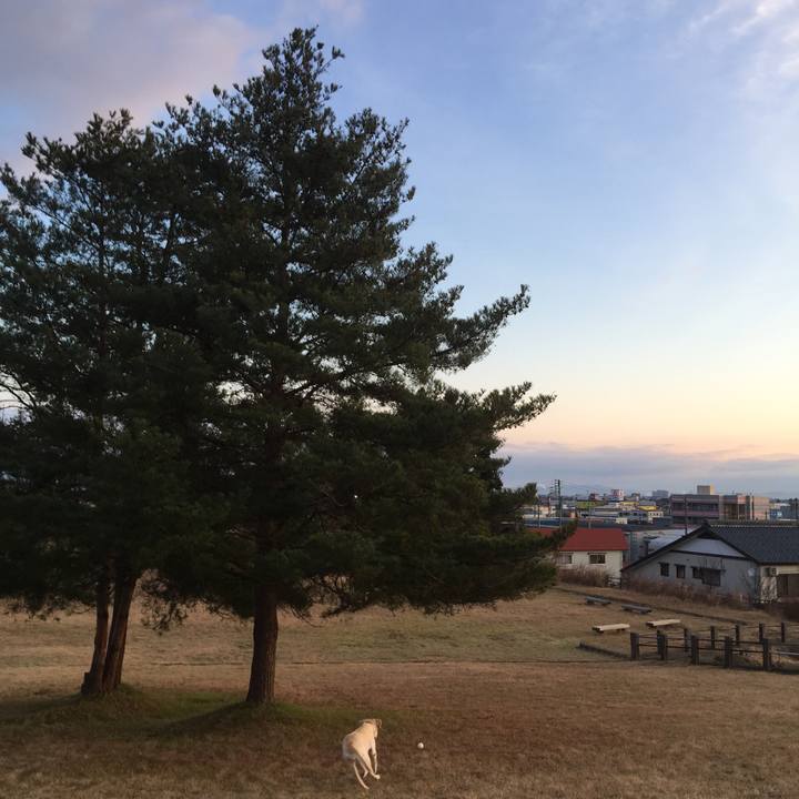 Eedd5491 e4c7 4fe3 84ad f14a0047bb0d