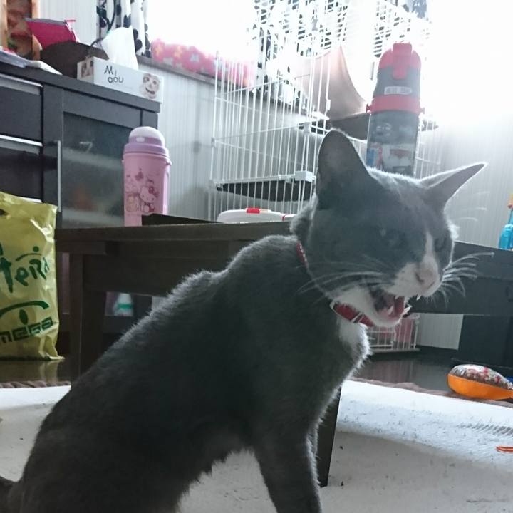 Eedd743c c73d 4d5d 9094 5175a74165d9