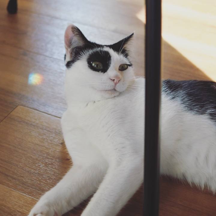 Eedda193 c80a 4887 b5ff 3c611a034a94