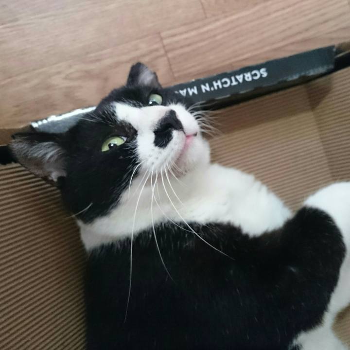 Eeddb7ea 5619 4c7e ac9b 9cb32e38d22e