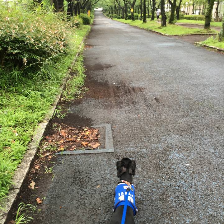 Eede37f2 49cd 4f0f b74f 9abb0d0823ee