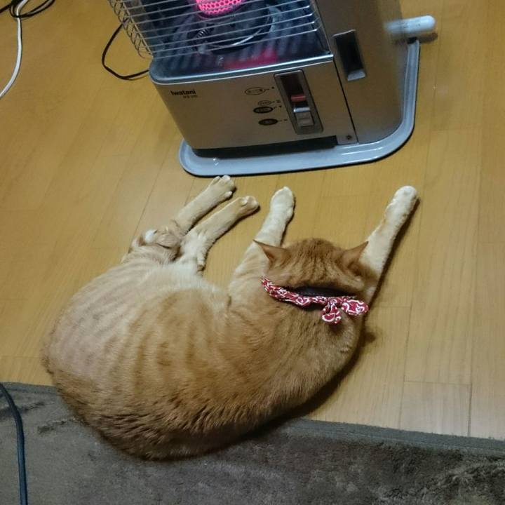 Eede8fba 0c9f 48e0 9557 cc88f24bc020