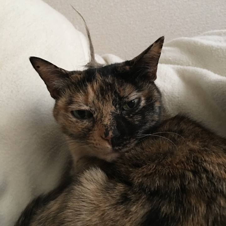 Eedeb05d a5d6 46da 8ee1 b46abe8579c5