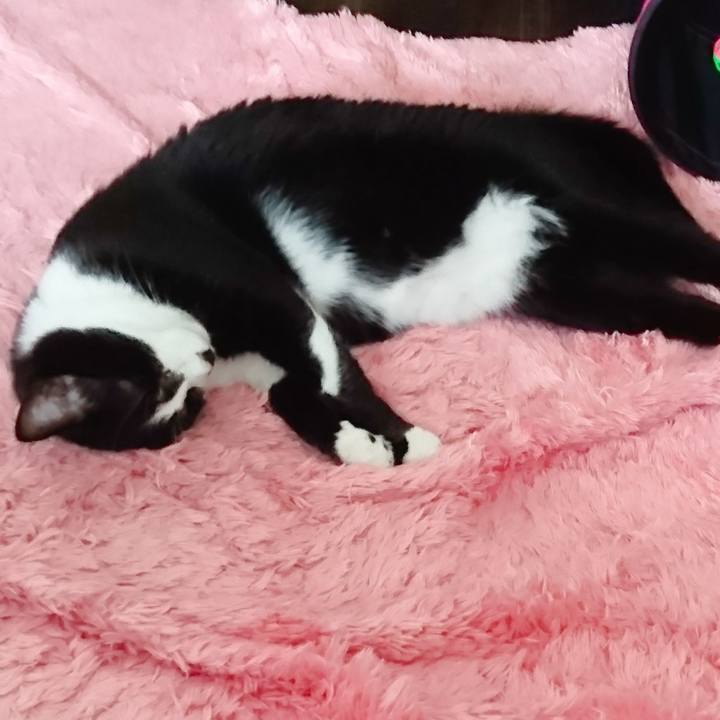 Eedf2dd5 4b6e 48d0 aa50 95b93df93b18