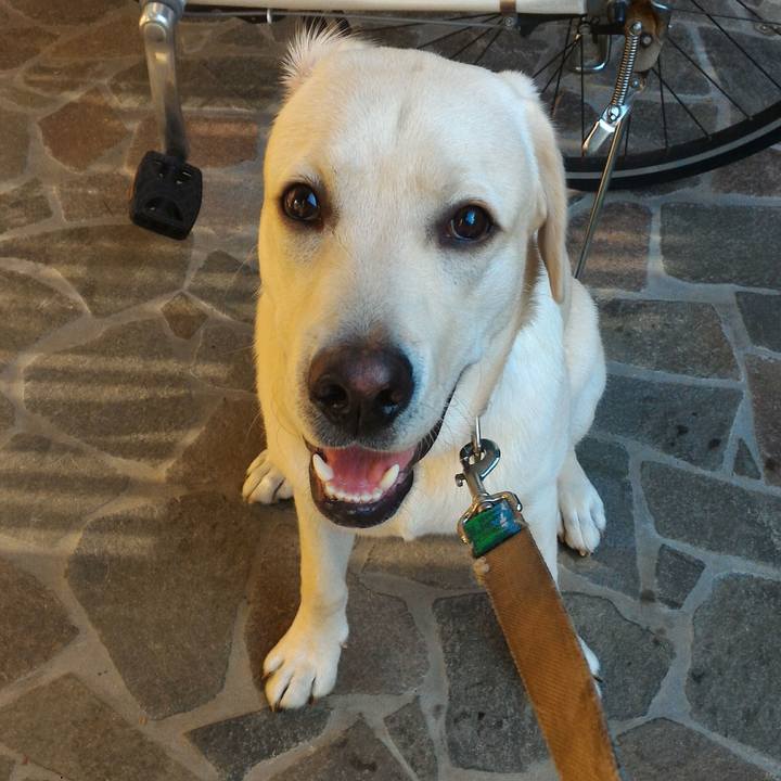 Eedf6086 1d12 4cd6 bd43 9dec674ab36d