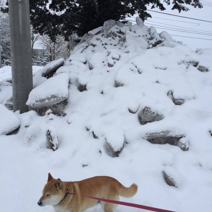 Eedf9e3f 7fbc 4816 af87 4f6d9ae4daec