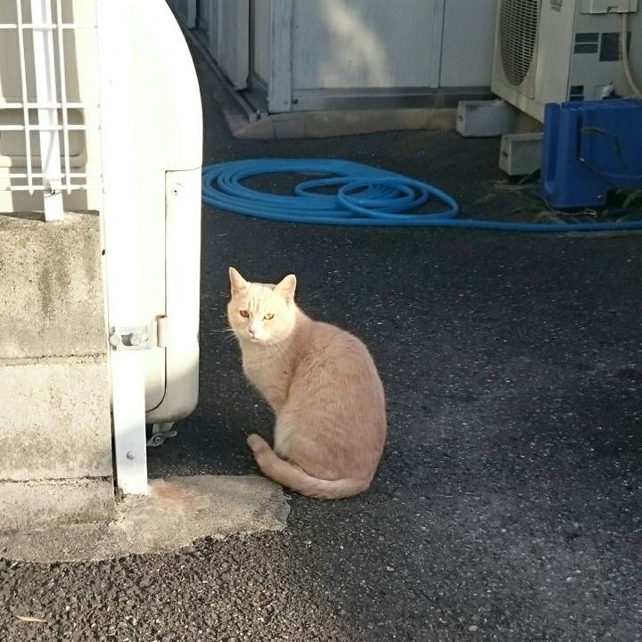 Eee0ed05 375e 4f32 baca 1a0aeeb6da7b