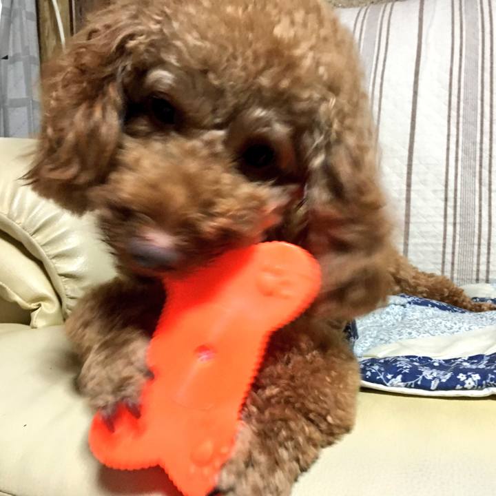 Eee0ef15 b761 4858 b98d 6baa1d67a73e