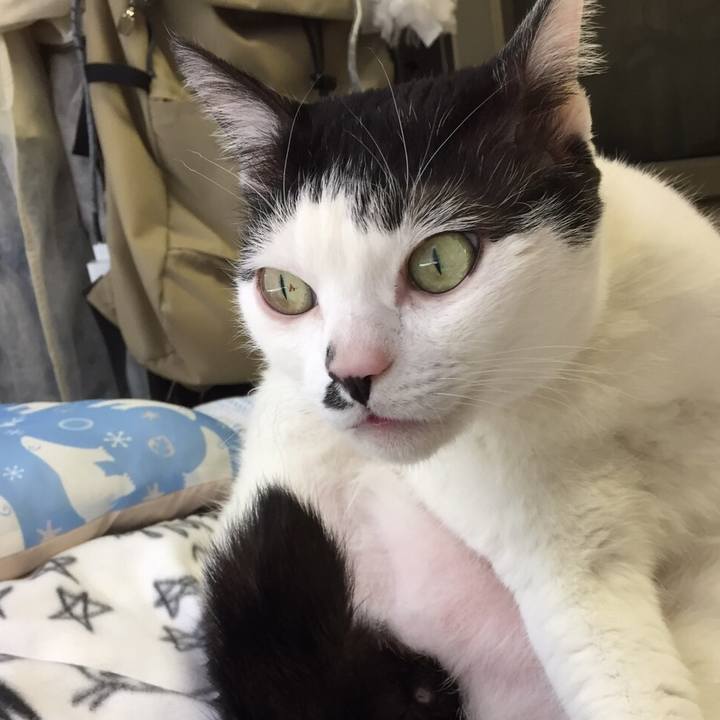 Eee1eeb8 8857 4c7c 8349 44b6f40ae142