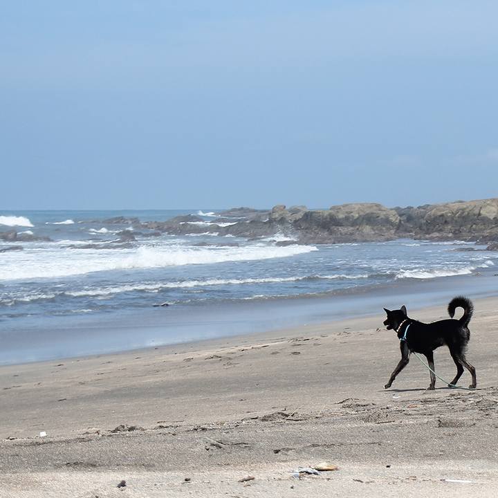 Eee22c5f 36f6 4e82 b653 feb3b4ab8667