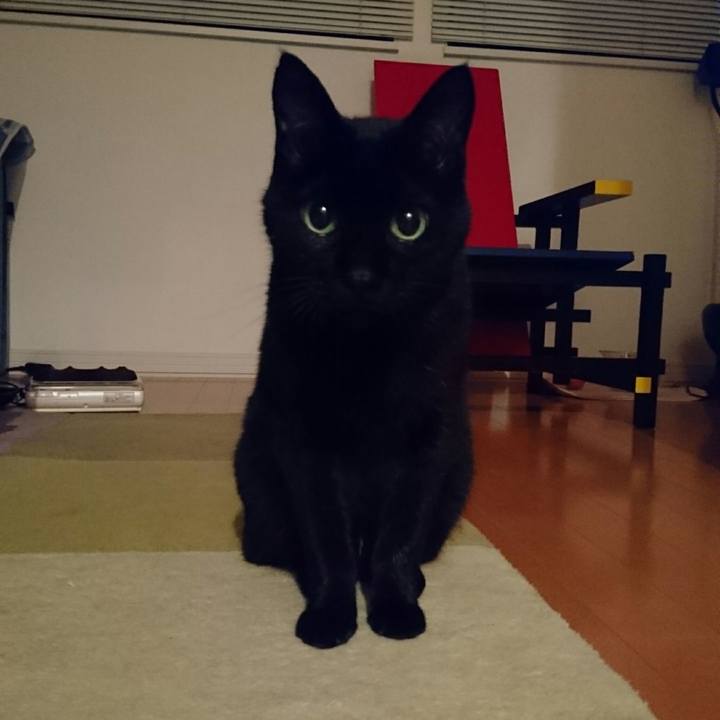 Eee281c0 63f5 4d98 9e72 294eafdd05d6