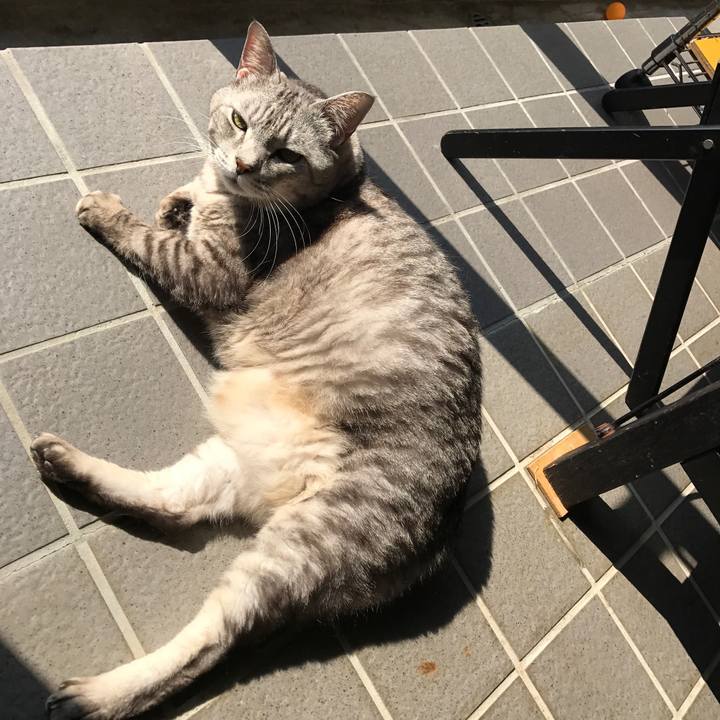 Eee2b7bb 4a1e 4993 b0c2 8a9288bb15d7