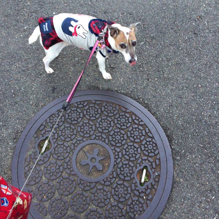 Eee2b930 0dc9 44c3 9f74 a635cd116de1